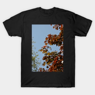 Autumnal T-Shirt